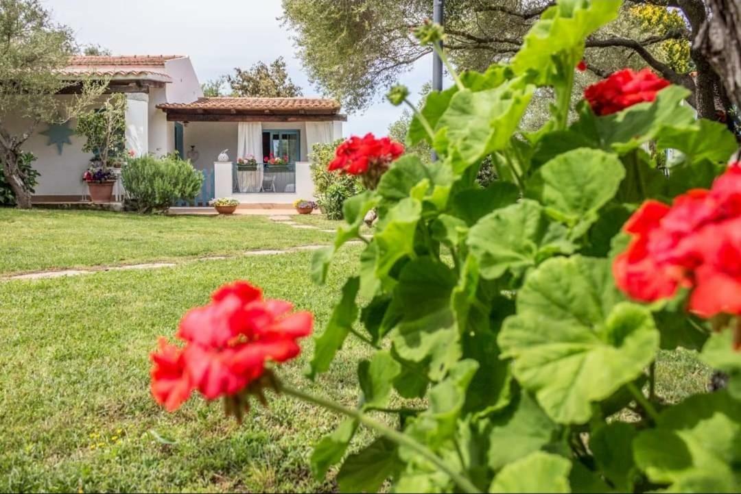 Il Falco Casa Vacanze - Cugnana - Porto Rotondo Экстерьер фото