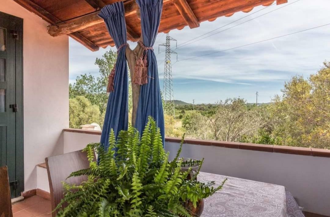 Il Falco Casa Vacanze - Cugnana - Porto Rotondo Экстерьер фото